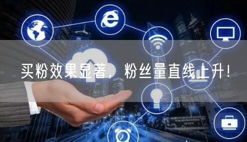 买粉效果显著，粉丝量直线上升！