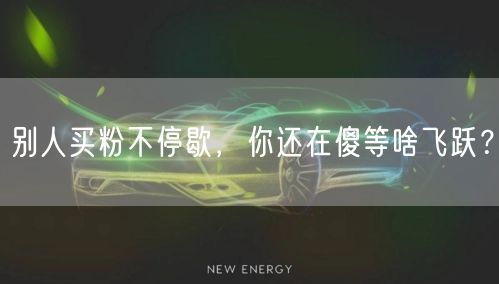别人买粉不停歇，你还在傻等啥飞跃？