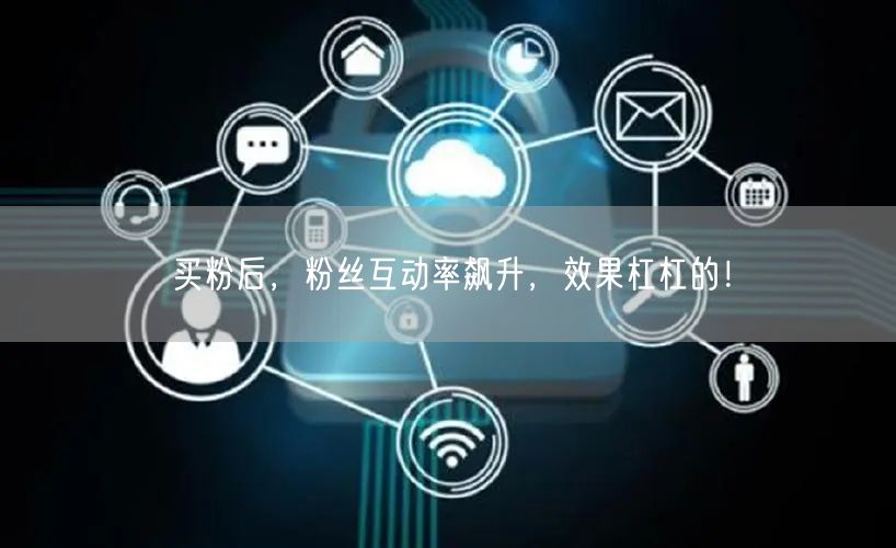 买粉后，粉丝互动率飙升，效果杠杠的！
