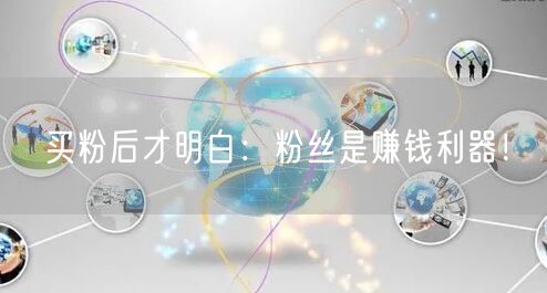 买粉后才明白：粉丝是赚钱利器！
