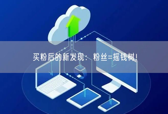 买粉后的新发现：粉丝=摇钱树！