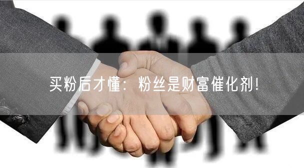 买粉后才懂：粉丝是财富催化剂！