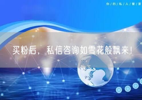 买粉后，私信咨询如雪花般飘来！