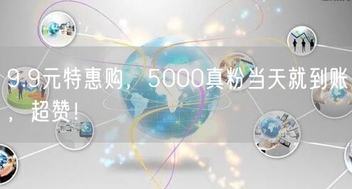 9.9元特惠购，5000真粉当天就到账，超赞！