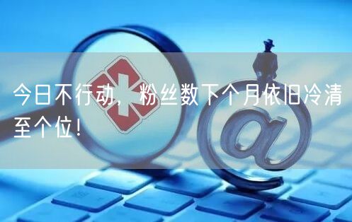 今日不行动，粉丝数下个月依旧冷清至个位！
