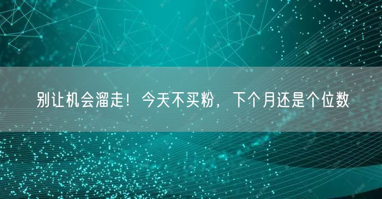 别让机会溜走！今天不买粉，下个月还是个位数