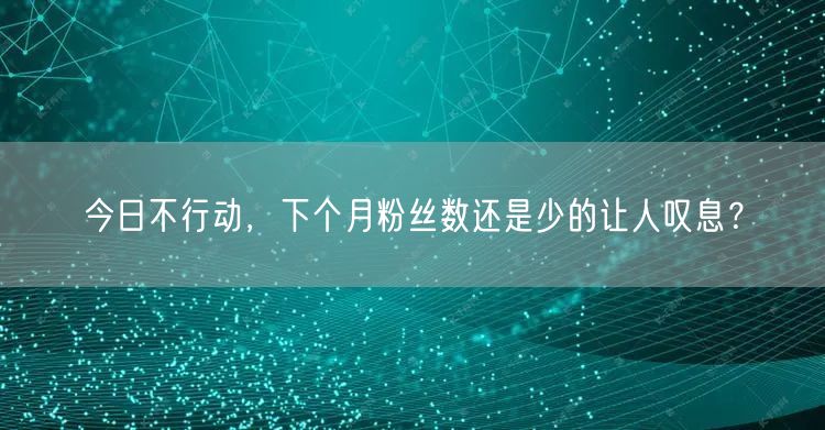 今日不行动，下个月粉丝数还是少的让人叹息？