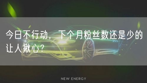 今日不行动，下个月粉丝数还是少的让人揪心？