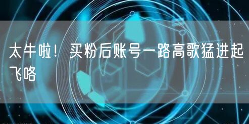 太牛啦！买粉后账号一路高歌猛进起飞咯