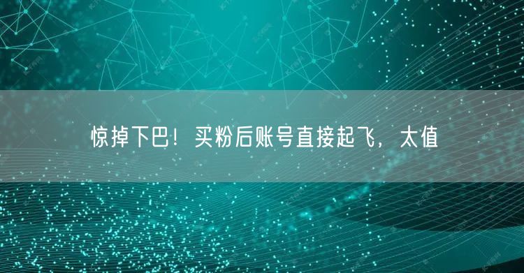 惊掉下巴！买粉后账号直接起飞，太值