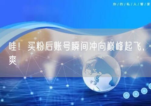 哇！买粉后账号瞬间冲向巅峰起飞，爽