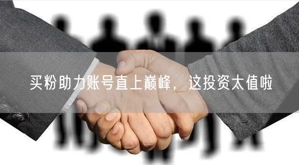 买粉助力账号直上巅峰，这投资太值啦