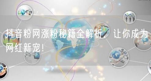 抖音粉网涨粉秘籍全解析，让你成为网红新宠！