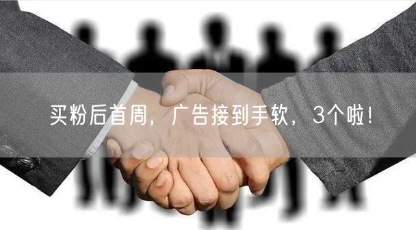买粉后首周，广告接到手软，3个啦！
