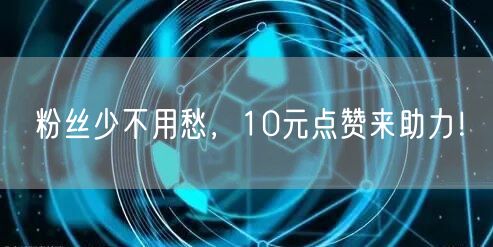粉丝少不用愁，10元点赞来助力！