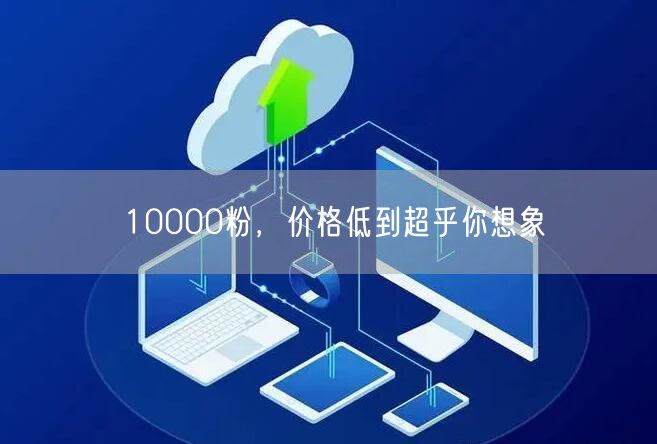 10000粉，价格低到超乎你想象