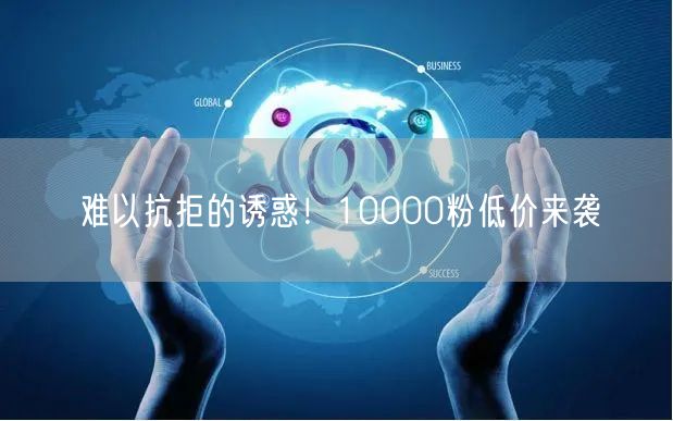 难以抗拒的诱惑！10000粉低价来袭