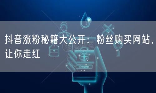 抖音涨粉秘籍大公开：粉丝购买网站，让你走红