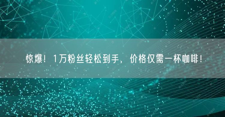 惊爆！1万粉丝轻松到手，价格仅需一杯咖啡！